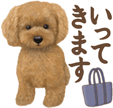 Toy Poodle & Toy Poodle 2 sticker #8335076