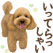 Toy Poodle & Toy Poodle 2 sticker #8335077