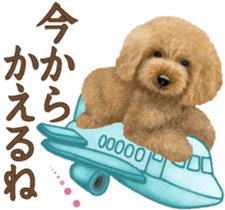 Toy Poodle & Toy Poodle 2 sticker #8335079
