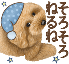 Toy Poodle & Toy Poodle 2 sticker #8335083
