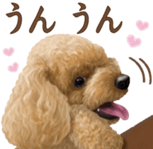 Toy Poodle & Toy Poodle 2 sticker #8335084