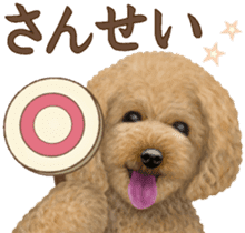 Toy Poodle & Toy Poodle 2 sticker #8335086
