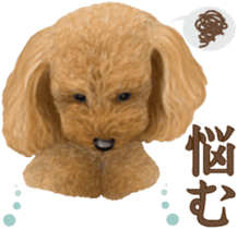 Toy Poodle & Toy Poodle 2 sticker #8335087