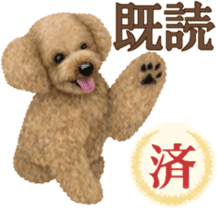 Toy Poodle & Toy Poodle 2 sticker #8335090