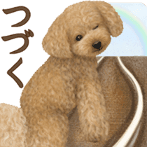 Toy Poodle & Toy Poodle 2 sticker #8335091