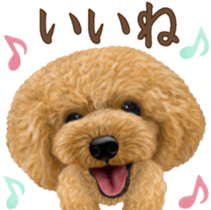 Toy Poodle & Toy Poodle 2 sticker #8335092