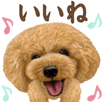 Toy Poodle & Toy Poodle 2 sticker #8335092