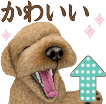 Toy Poodle & Toy Poodle 2 sticker #8335093