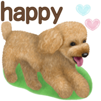 Toy Poodle & Toy Poodle 2 sticker #8335094