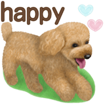 Toy Poodle & Toy Poodle 2 sticker #8335094