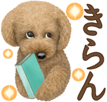 Toy Poodle & Toy Poodle 2 sticker #8335095
