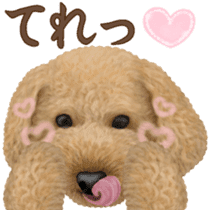 Toy Poodle & Toy Poodle 2 sticker #8335098