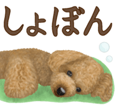 Toy Poodle & Toy Poodle 2 sticker #8335099