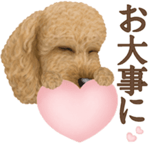 Toy Poodle & Toy Poodle 2 sticker #8335101