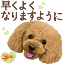 Toy Poodle & Toy Poodle 2 sticker #8335103