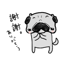 taiwanese langage pug sticker #8337628