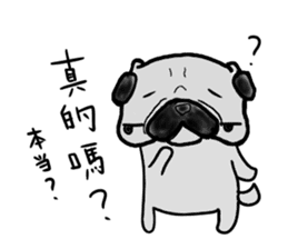 taiwanese langage pug sticker #8337636