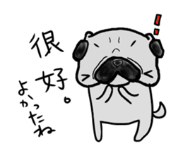 taiwanese langage pug sticker #8337637