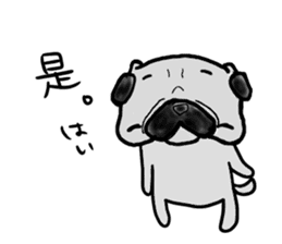taiwanese langage pug sticker #8337639