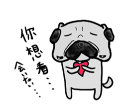 taiwanese langage pug sticker #8337646