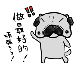 taiwanese langage pug sticker #8337651