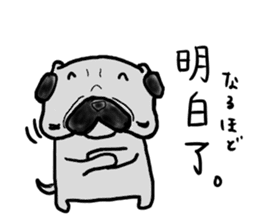taiwanese langage pug sticker #8337652