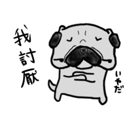 taiwanese langage pug sticker #8337654