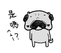 taiwanese langage pug sticker #8337659