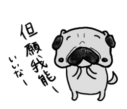 taiwanese langage pug sticker #8337663