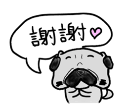taiwanese langage pug sticker #8337664