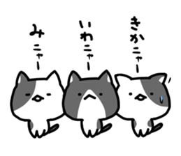 hacchan the kitten sticker #8337791