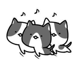 hacchan the kitten sticker #8337798