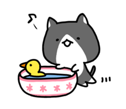 hacchan the kitten sticker #8337799