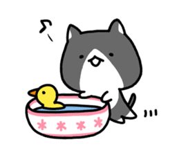 hacchan the kitten sticker #8337799