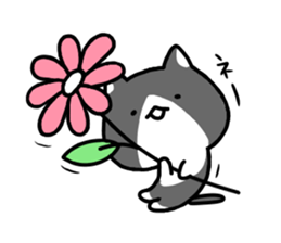 hacchan the kitten sticker #8337802