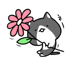 hacchan the kitten sticker #8337802