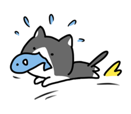 hacchan the kitten sticker #8337818