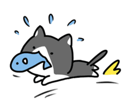 hacchan the kitten sticker #8337818