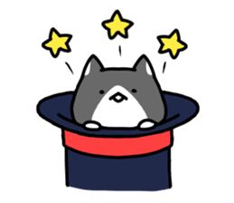 hacchan the kitten sticker #8337823