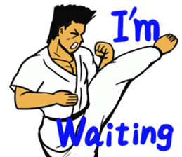 Karate-Man sticker #8338772