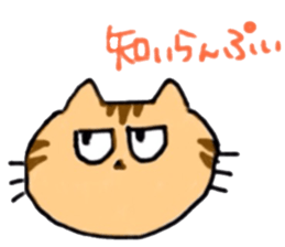 Negligent Cats sticker #8341989