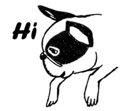 Black-and-white French Bulldog sticker #8343152