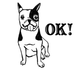 Black-and-white French Bulldog sticker #8343153