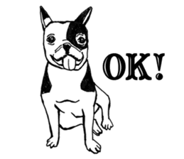 Black-and-white French Bulldog sticker #8343153