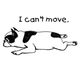 Black-and-white French Bulldog sticker #8343155