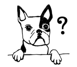 Black-and-white French Bulldog sticker #8343156