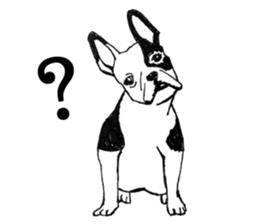 Black-and-white French Bulldog sticker #8343157
