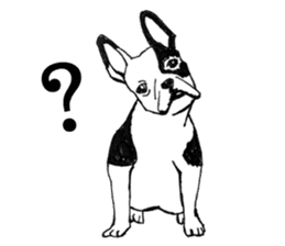 Black-and-white French Bulldog sticker #8343157