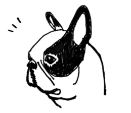 Black-and-white French Bulldog sticker #8343158