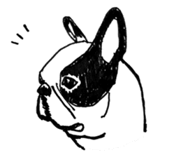 Black-and-white French Bulldog sticker #8343158